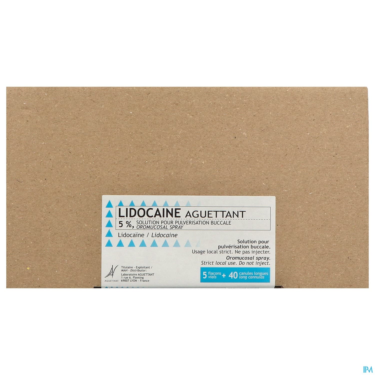 Lidocaine Aguettant 5% Pulv Buccale 1g X5