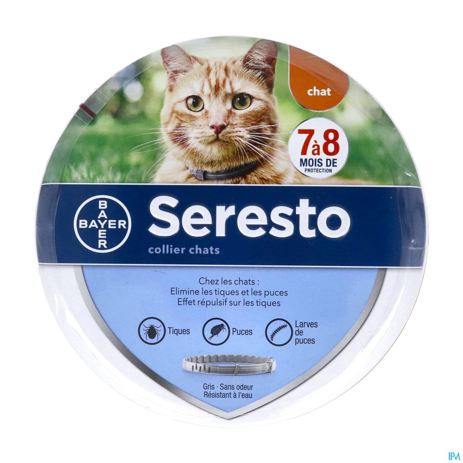 Elanco Seresto Collier Puces Tiques Chat X1