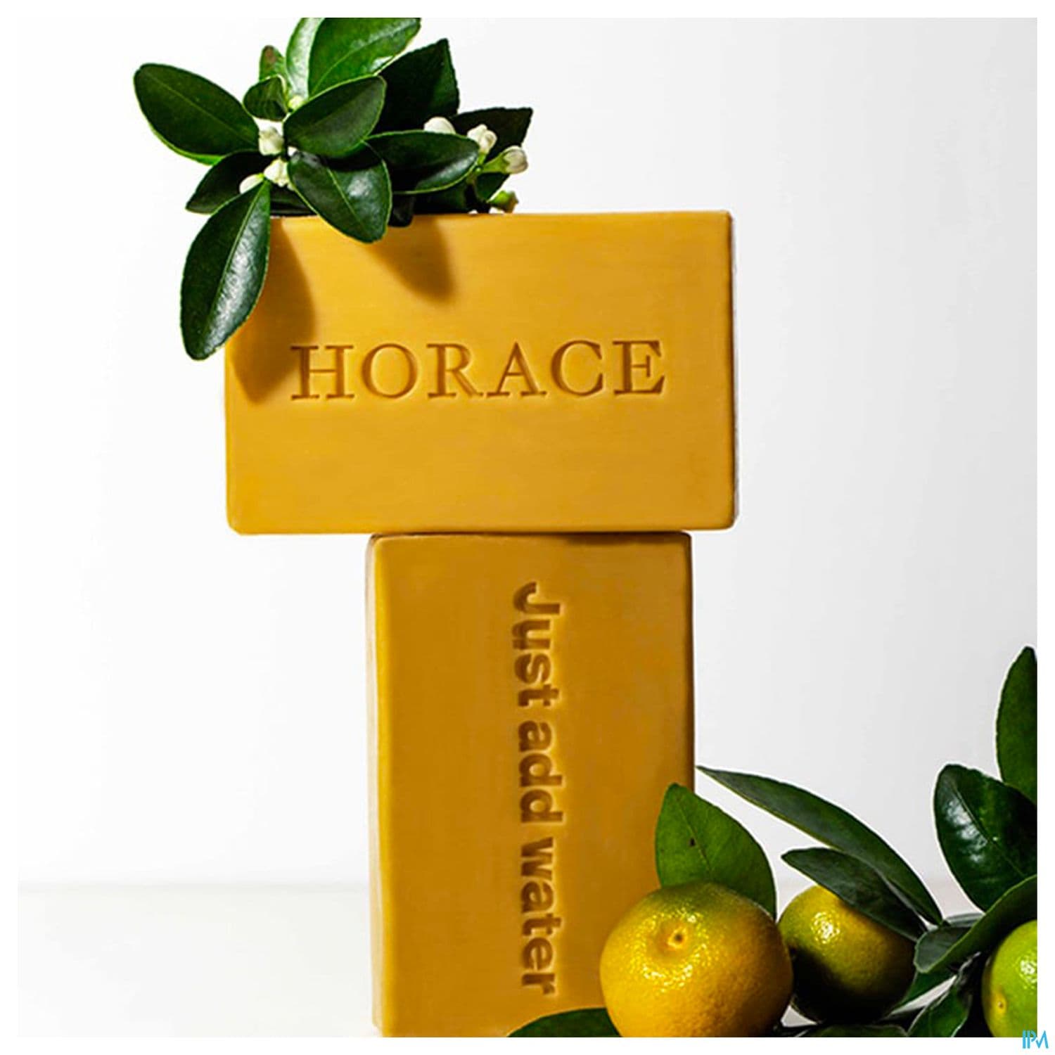 HORACE PAIN SURG ORANG/PETITGR125G