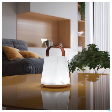 Pranarom Diffuseur Huile Essentielle Izzy