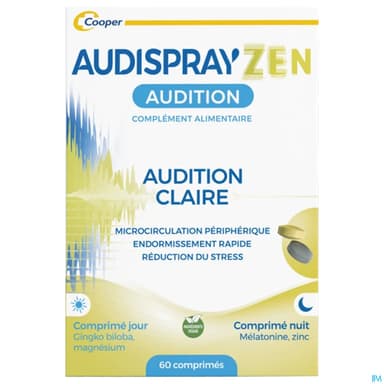 AUDISPRAYZEN J30+N30