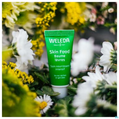 Weleda Skin Food Baume Levres 8ml
