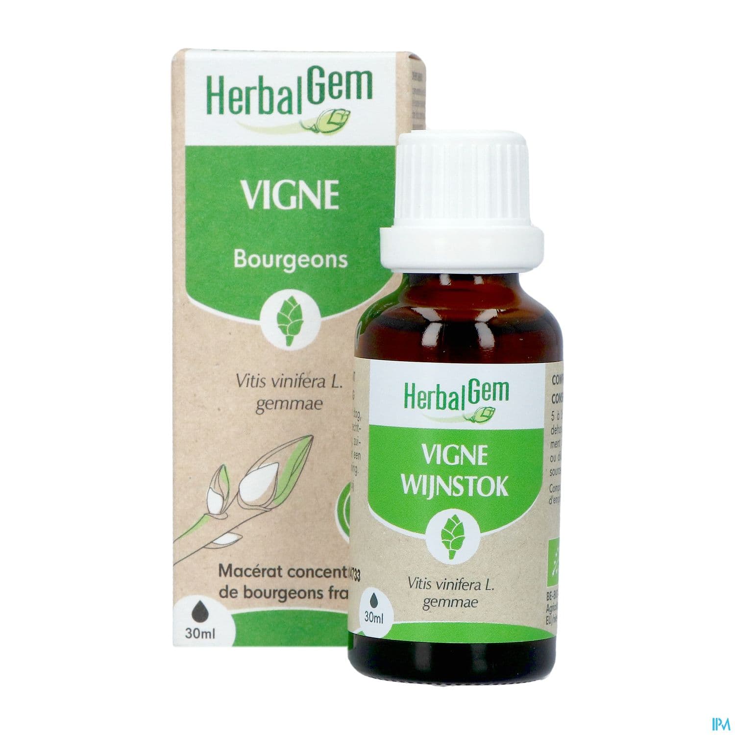 Herbalgem Vigne Bourgeon Macerat Glycerin Bio 30ml