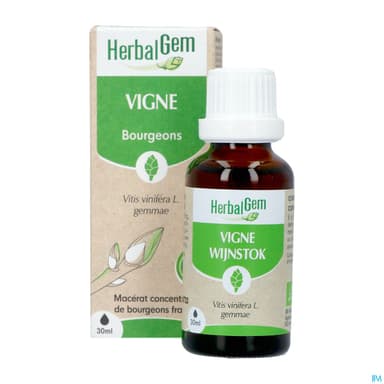 Herbalgem Vigne Bourgeon Macerat Glycerin Bio 30ml