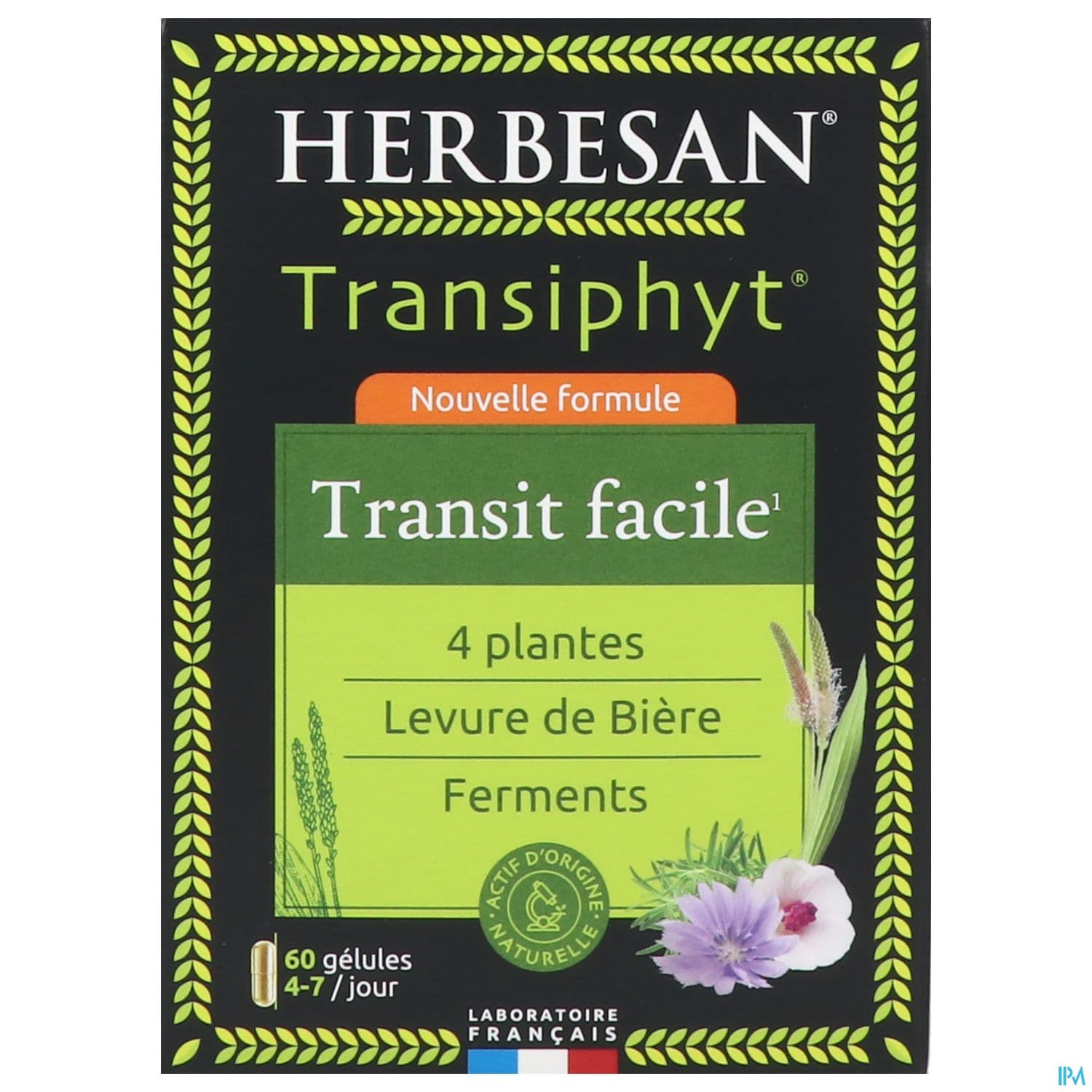 HERBESAN TRANSIPHYT GEL60