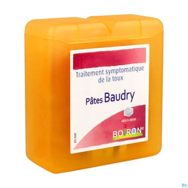 BAUDRY PATE HOMEO BTE 70G