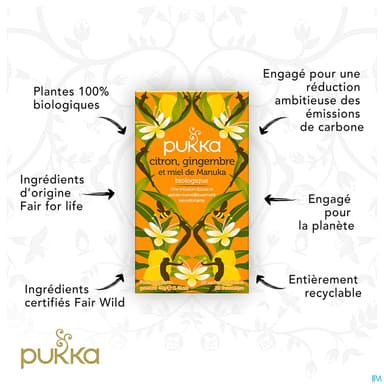 PUKKA INFUS CITR/GING/MIEL SACH 20