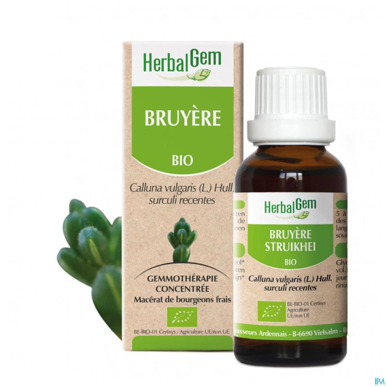 Herbalgem Bruyere Jp Bourgeon Macerat Gly Bio 30ml