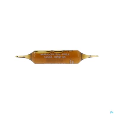 SUPERDIET QUATUOR ARTICL BIO AMP20
