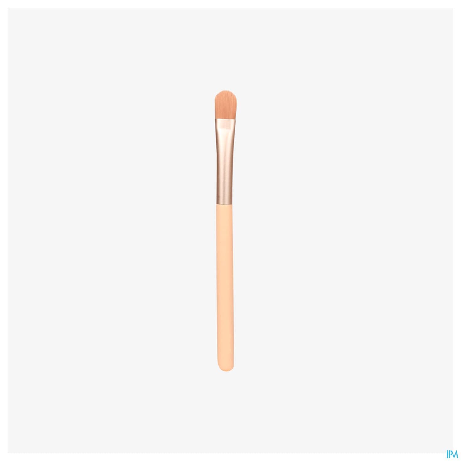 Charlotte Bio Pinceau Special Paillettes 1 Unite