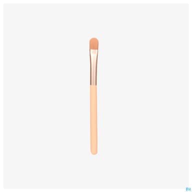 Charlotte Bio Pinceau Special Paillettes 1 Unite