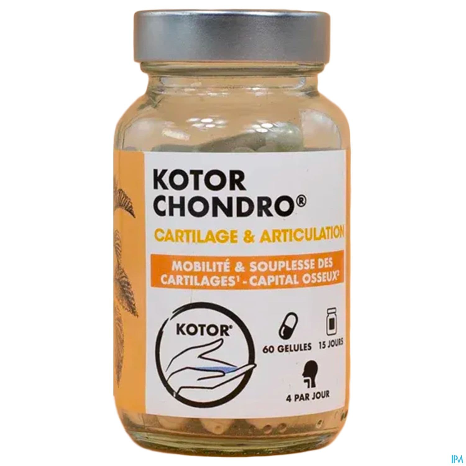 Kotor Chondro Gelule 60