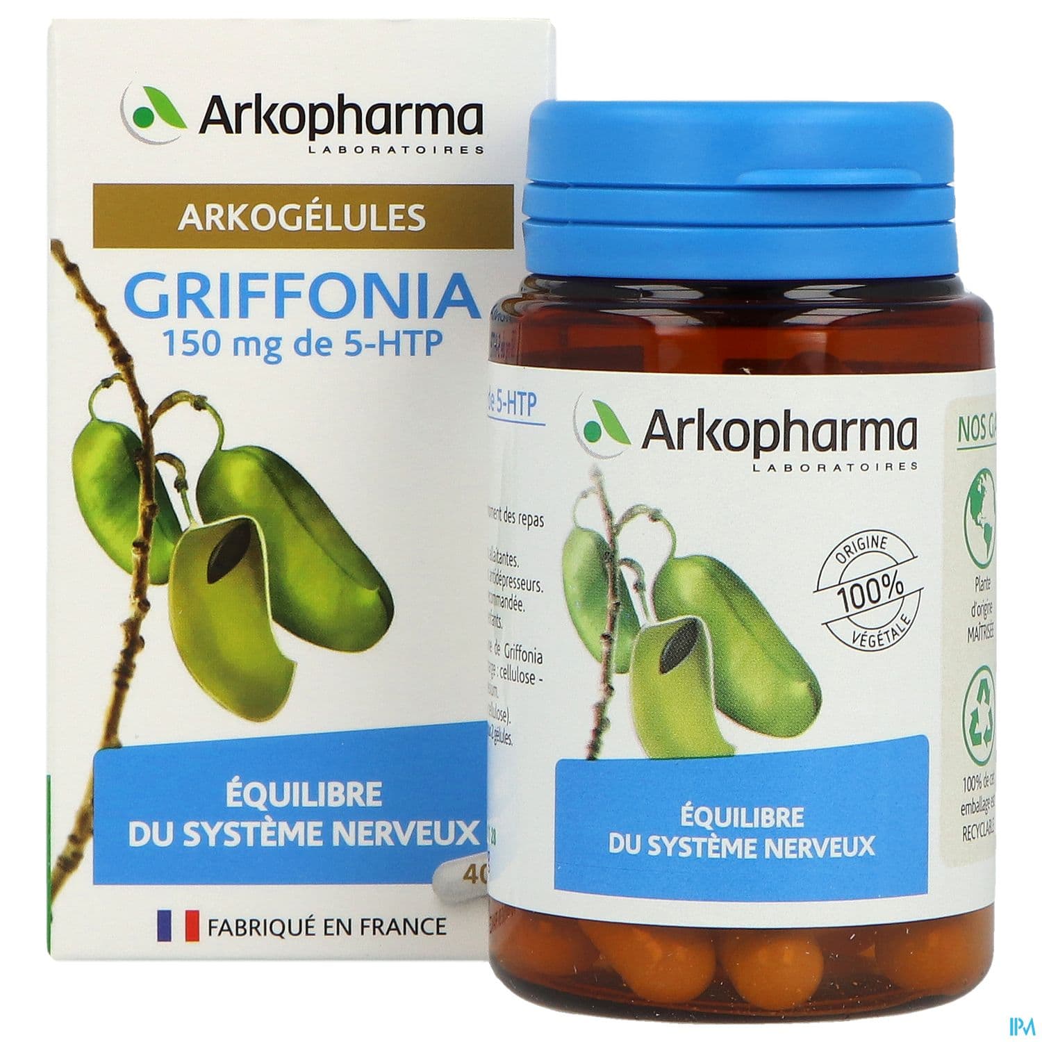 ARKOG GRIFFONIA GELUL 40