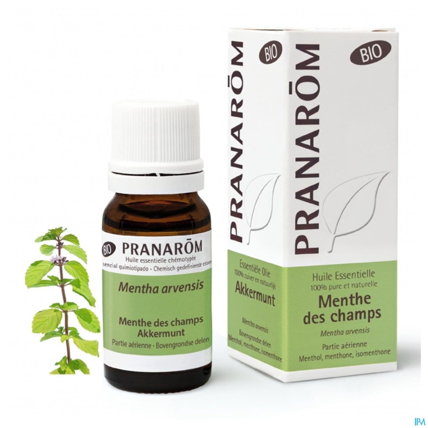 PRANAROM HE BIO MENTHE CHAMPS 10ML