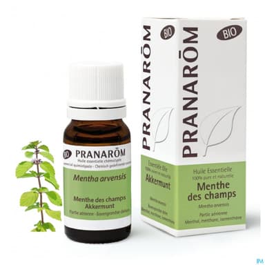 PRANAROM HE BIO MENTHE CHAMPS 10ML