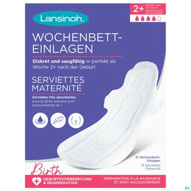LANSINOH SERV MATERNITE X12