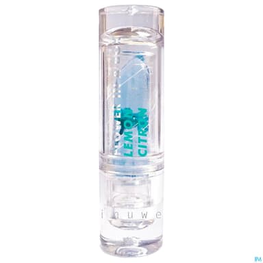 Inuwet Rouge A Levres Brillant Flower Parfum Citron 3g