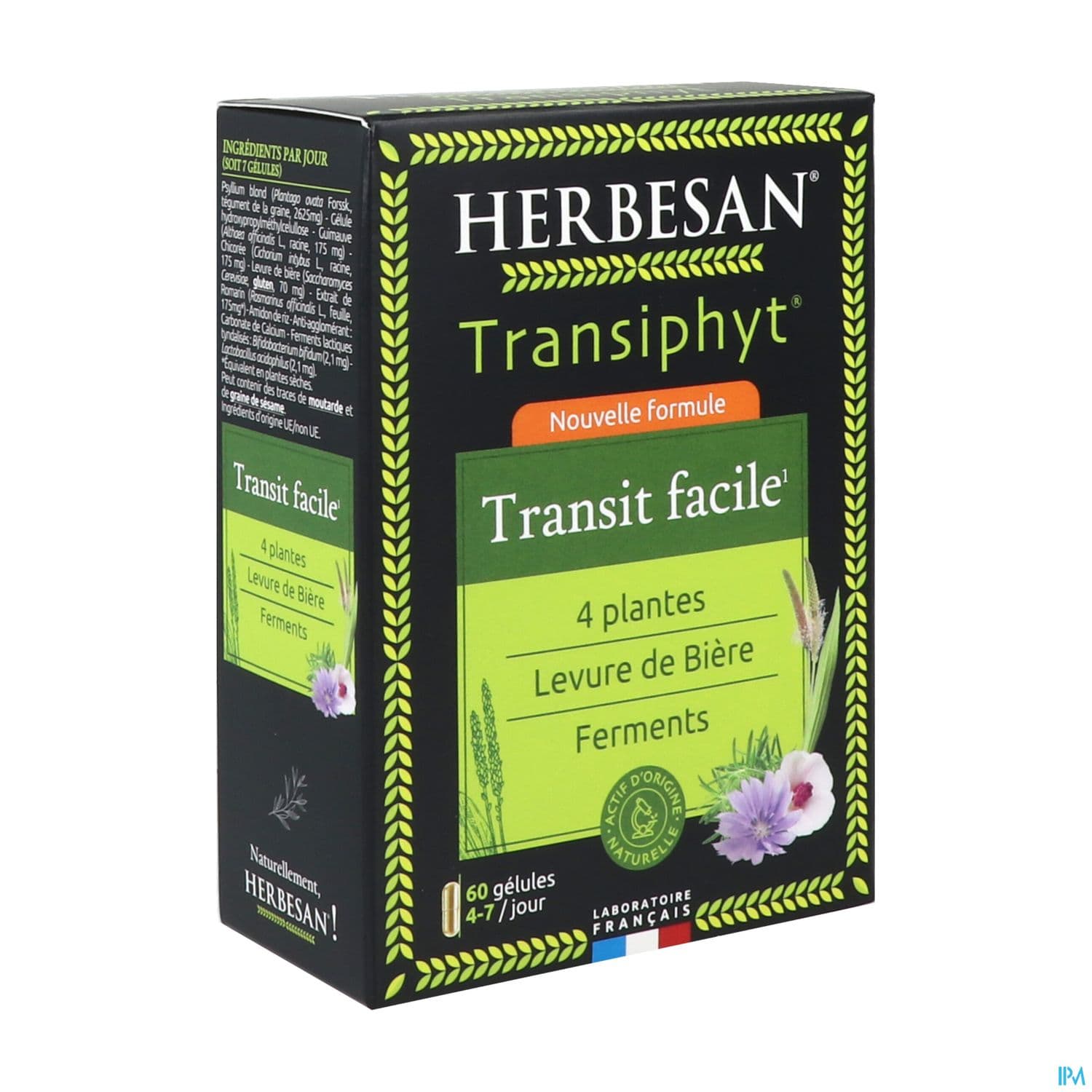 Herbesan Transiphyt Gelule 60