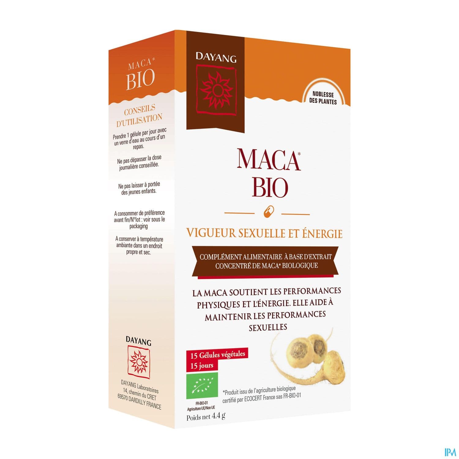 DAYANG MACA BIO GELUL 15