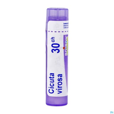 CICUTA VIROSA 30CH TG B