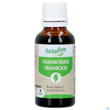 Herbalgem Framboisier Bourgeon Macerat Gl Bio 30ml