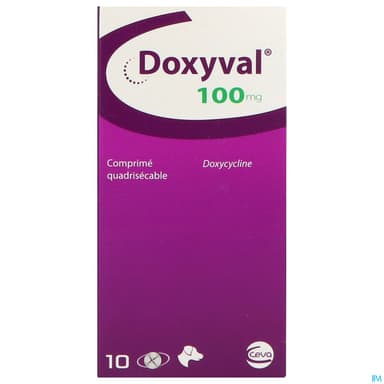 Doxyval 100mg Quadri Comprime Quadrisecable 10