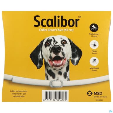 Scalibor Collier Chien Grand