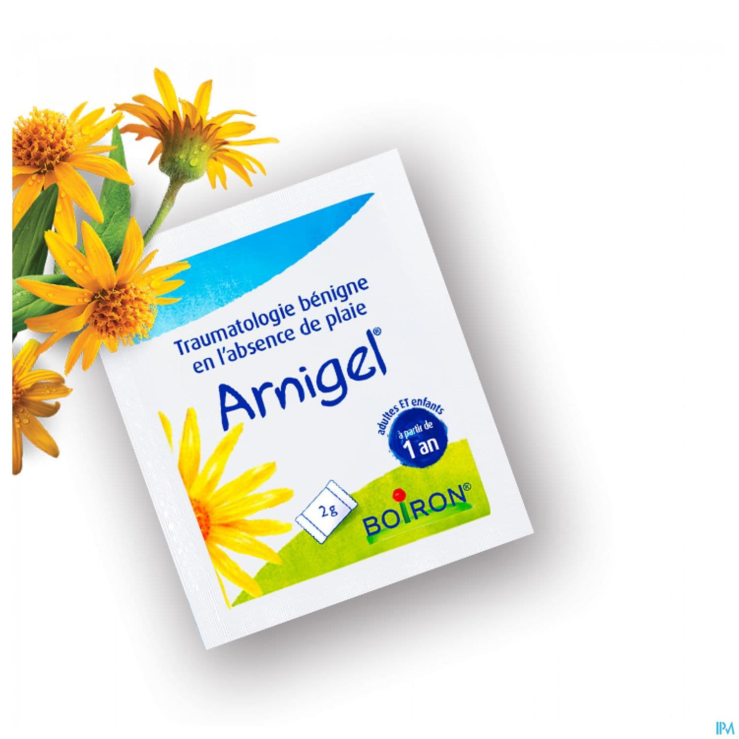 ARNIGEL SACHET X12