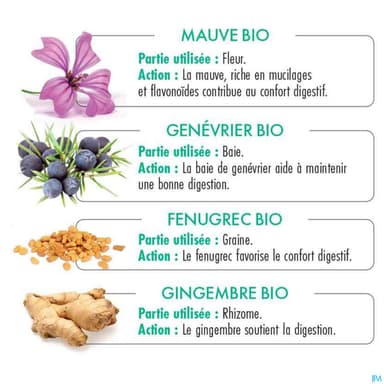 Thes De La Pagode Rooibos Digestao Bio Infusette 18