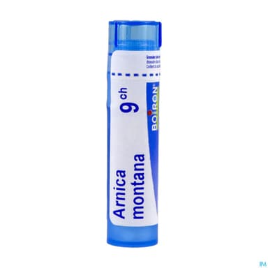 ARNICA MONT BOIRON 9CH GRAN T/4G