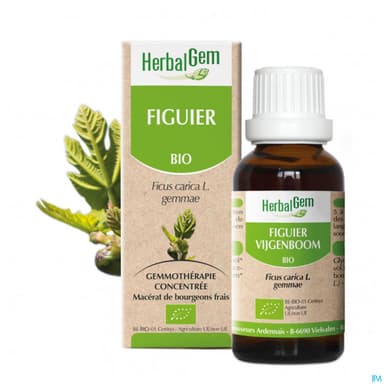 Herbalgem Figuier Bourgeon Macerat Glycer Bio 30ml