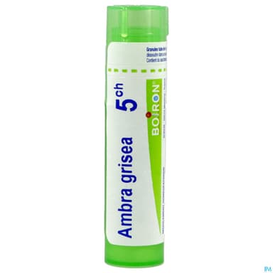 AMBRA GRISEA 5CH TG B
