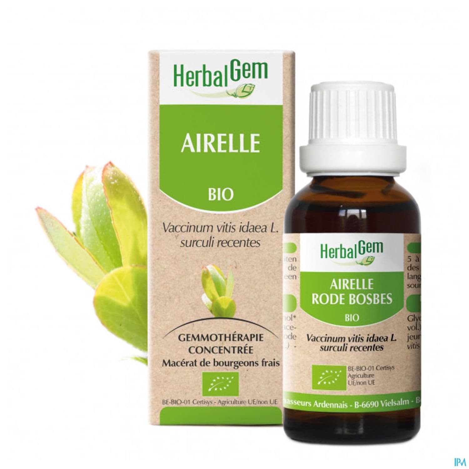 Herbalgem Airelle Jp Bourgeon Macerat Gly Bio 30ml