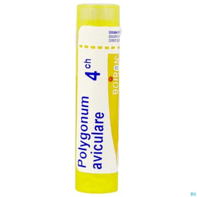 POLYGONUM AVIC. 4CH TG B