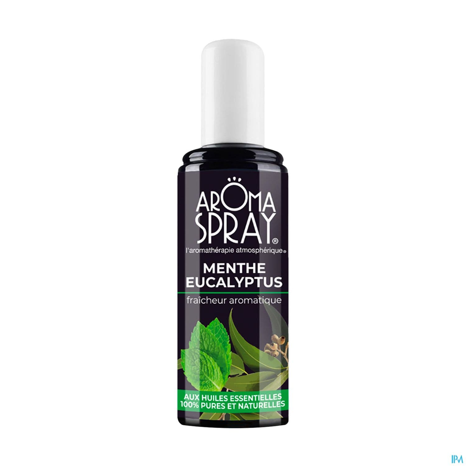530 Aromaspray Menthe Eucalyptus Spray 100ml