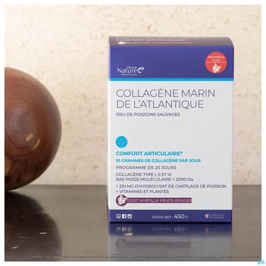 Nature Attitude Collagene Marin De Bretagne Confort Articulaire Poudre 450g