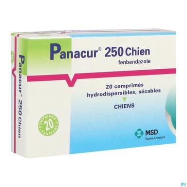 PANACUR 250 CPR CHIEN 20