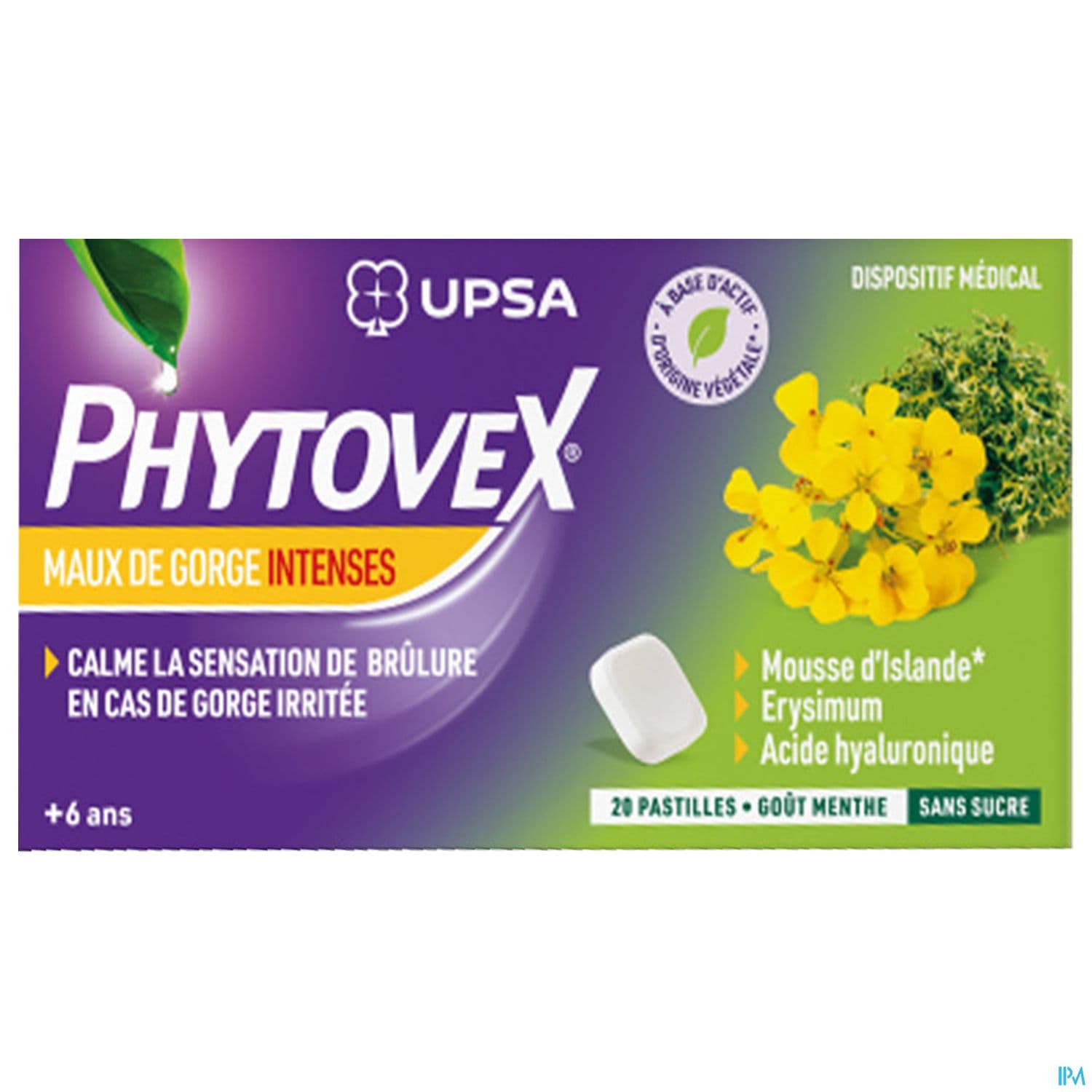 PHYTOVEX MX GORGE INTENSE PAST