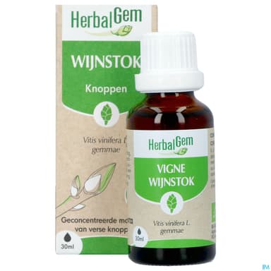 Herbalgem Vigne Bourgeon Macerat Glycerin Bio 30ml