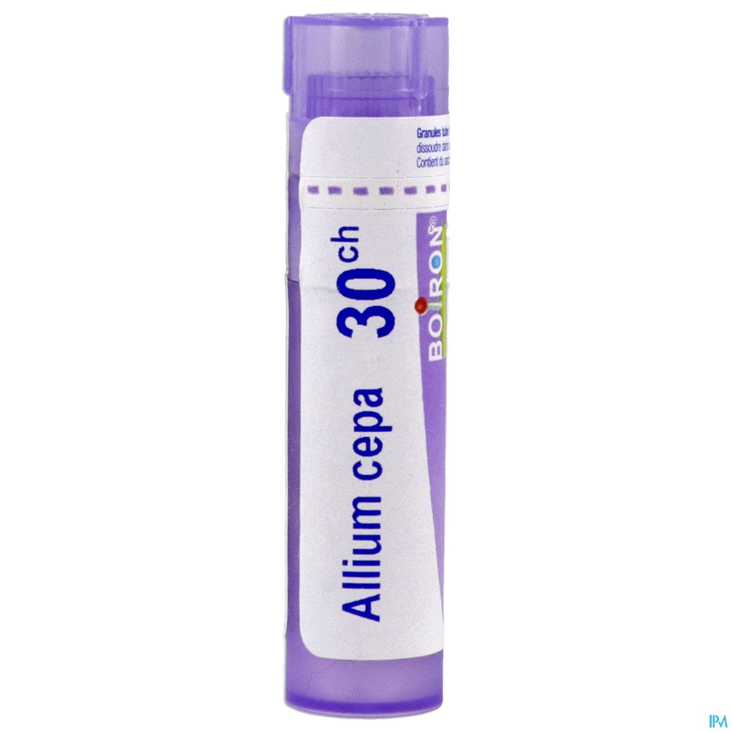 ALLIUM CEPA 30CH TG B