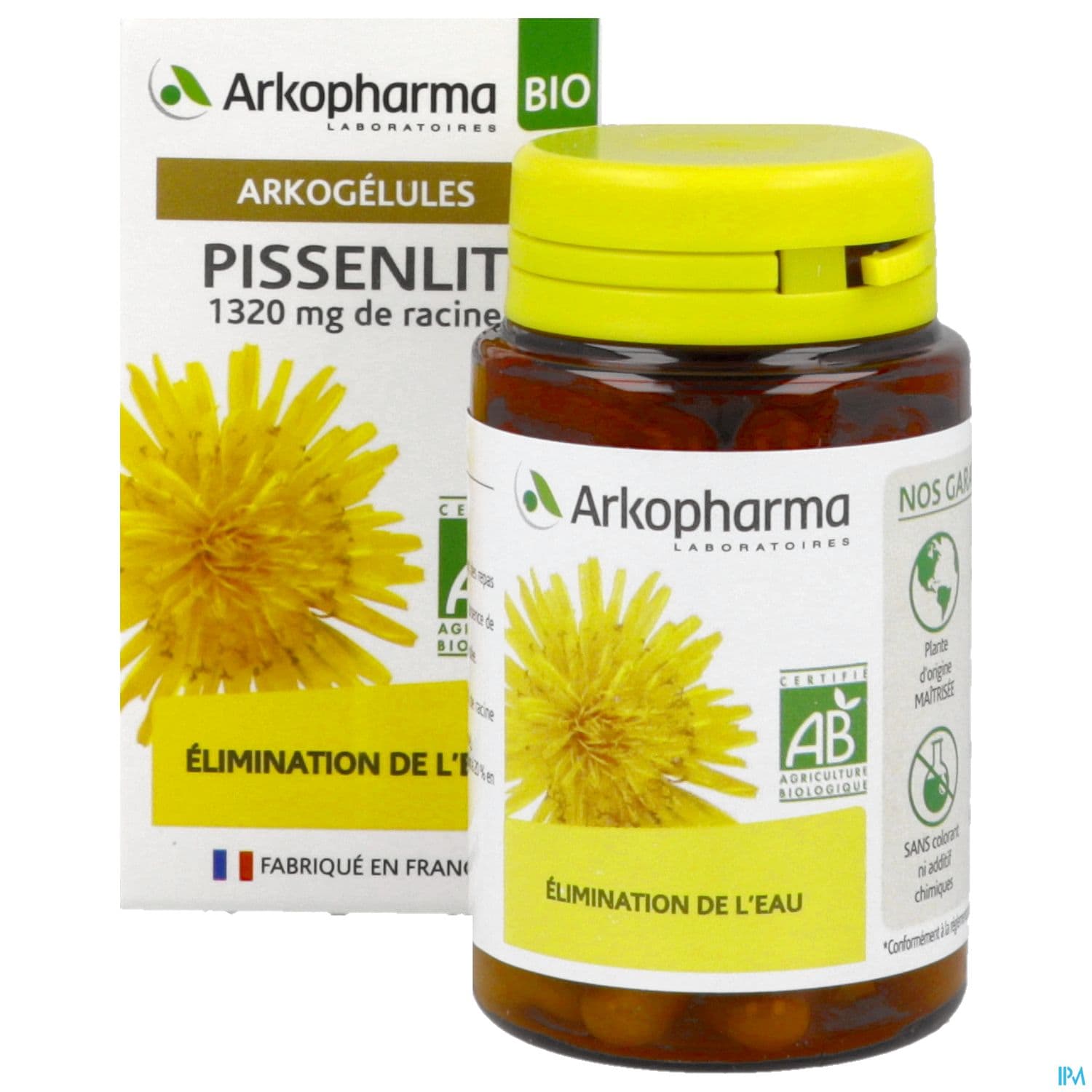 PISSENLIT BIO ARKOG GELUL 45
