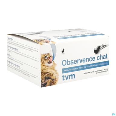 OBSERVENCE CHAT SACH10G 6