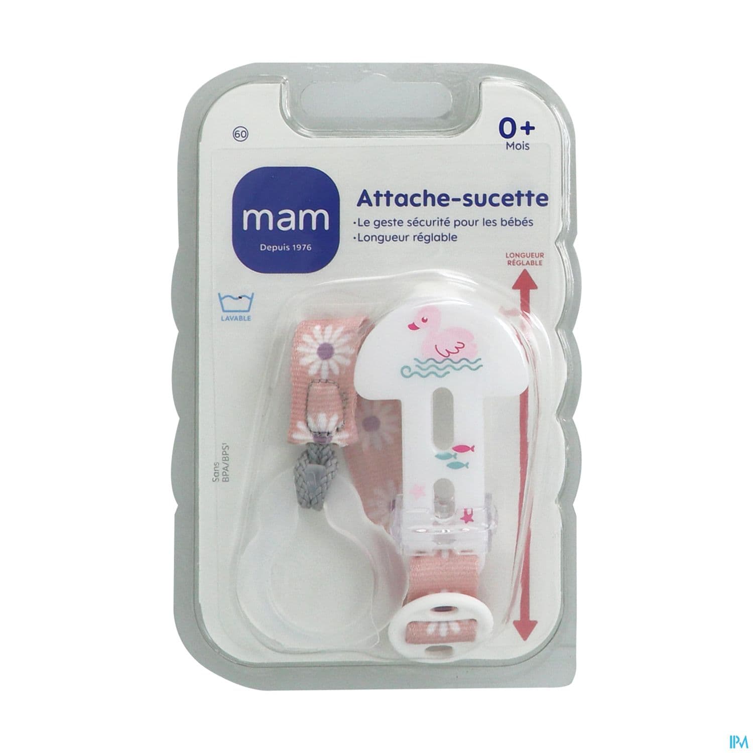 ATTACH SUCET MAM STANDARD