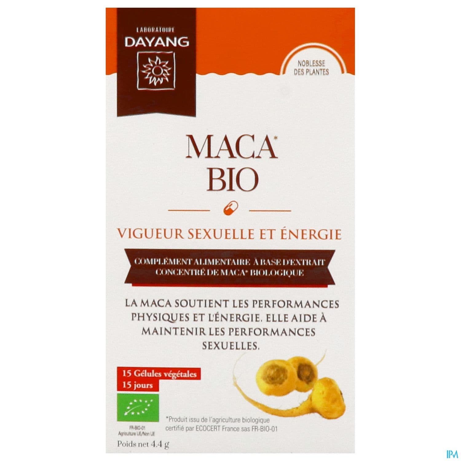 DAYANG MACA BIO GELUL 15