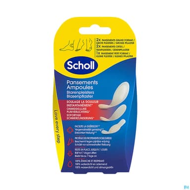 SCHOLL PANS AMP MIX X5