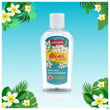ASSANIS GEL MAIN HYDRO MONOI 80ML