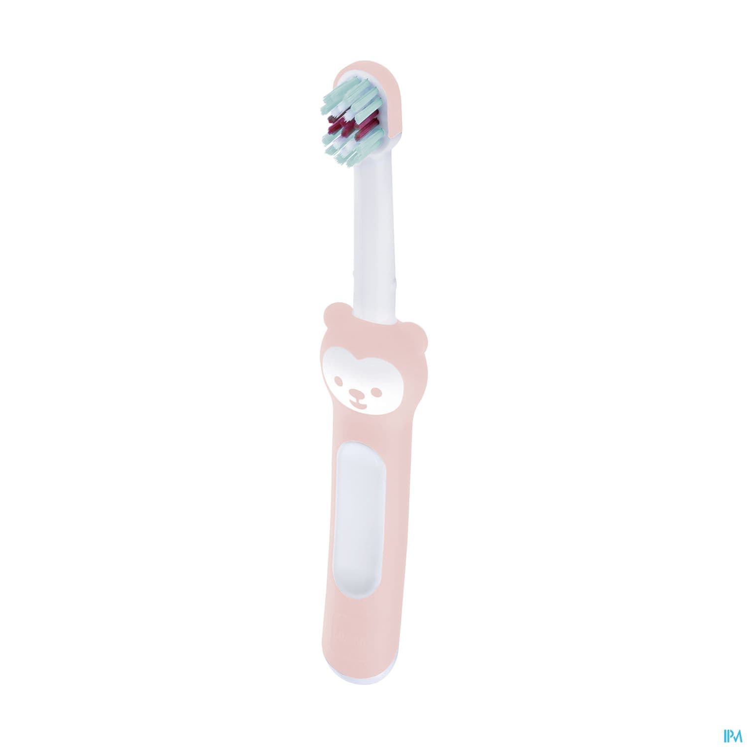 BDEN MAM 1ER BROSSE