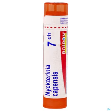 Boiron Nycterinia Cap. 7ch Granules 4g