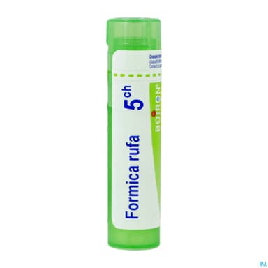 FORMICA RUFA 5CH TG B