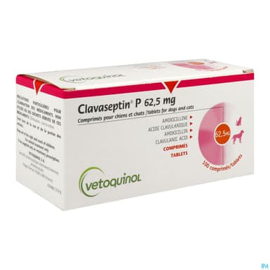 CLAVASEPTIN P 62,5MG CPR 100
